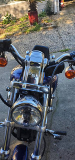 06 Harley Sportster Custom