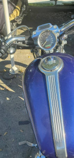 06 Harley Sportster Custom