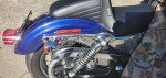 06 Harley Sportster Custom