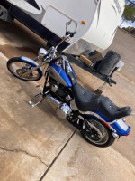 09 Softail Custom