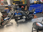 09 Softail Custom