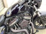 Harley Sportster 2011 custom