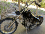 Custom Ridgid Chopper