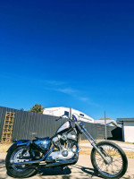 1996 Harley-Davidson sportster