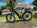 Ariel Kepler E Bike