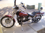HARLEY DAVIDSON SPRINGER