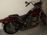HARLEY DAVIDSON SPRINGER