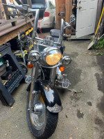 2000 Harley Davidson soft tail