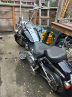 2000 Harley Davidson soft tail