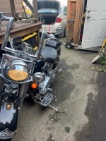 2000 Harley Davidson soft tail