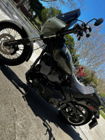 2021 Harley Davidson Street Bob