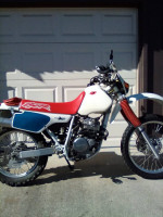 Honda XR250R with street license