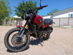 Benelli Leoncino