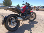 Benelli Leoncino
