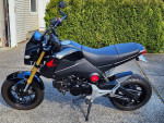 2015 Honda Grom