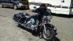 1999 Harley FXST