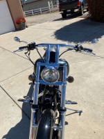 Harley Davidson Softtail custom
