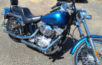 2005 HD Softail