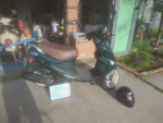 2012 Green Buddy