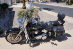 2013 Harley-Davidson Classic Heritage Softail.