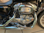Harley Davidson Sportster
