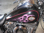 2002 Harley Davidson Wide Glide