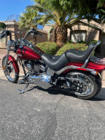 2010 FXSTC SOFTTAIL CUSTOM