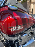 2010 FXSTC SOFTTAIL CUSTOM