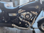 2009 Harley davidson fatbob