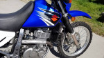 SUZUKI DR650