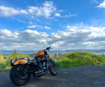 2014 harley Iron X8N