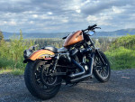 2014 harley Iron X8N
