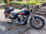 2020 HARLEY-DAVIDSON SOFTAIL STANDARD FXLR