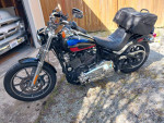2020 HARLEY-DAVIDSON SOFTAIL STANDARD FXLR