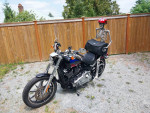 2020 HARLEY-DAVIDSON SOFTAIL STANDARD FXLR
