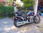 2020 HARLEY-DAVIDSON SOFTAIL STANDARD FXLR