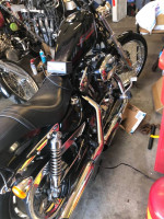 06 Harley Sportster 1200