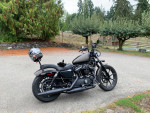 2021 Harley Davidson Sportster Iron 883