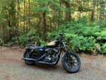 2021 Harley Davidson Sportster Iron 883