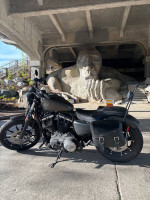 2021 Harley Davidson Sportster Iron 883
