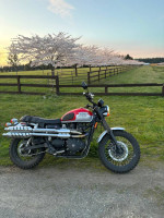 2015 Triumph Scrambler