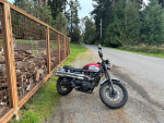 2015 Triumph Scrambler