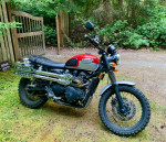2015 Triumph Scrambler