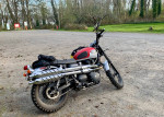 2015 Triumph Scrambler