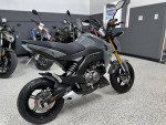 2020 Kawasaki Z125 Pro