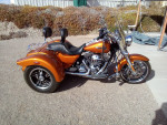 Harley Davidson freewheeler