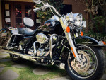 Harley Davidson Road King