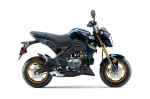 2023 KAWASAKI Z125