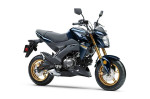 2023 KAWASAKI Z125