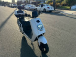 Zebra Zx2 Electric Scooter